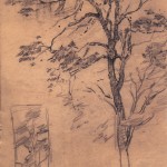 1914-19_Assorted Early Sketches_362